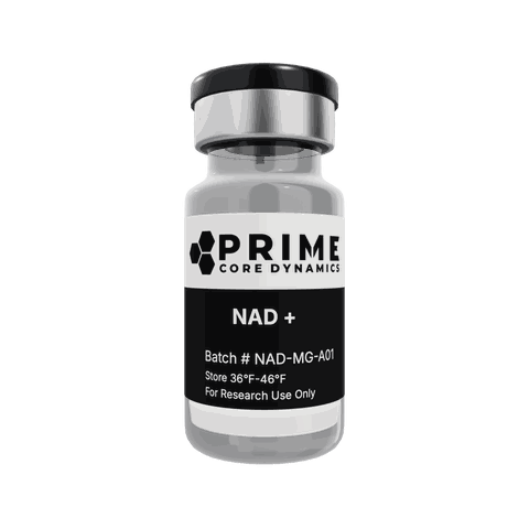 NAD+ vial, Prime Core Dynamics